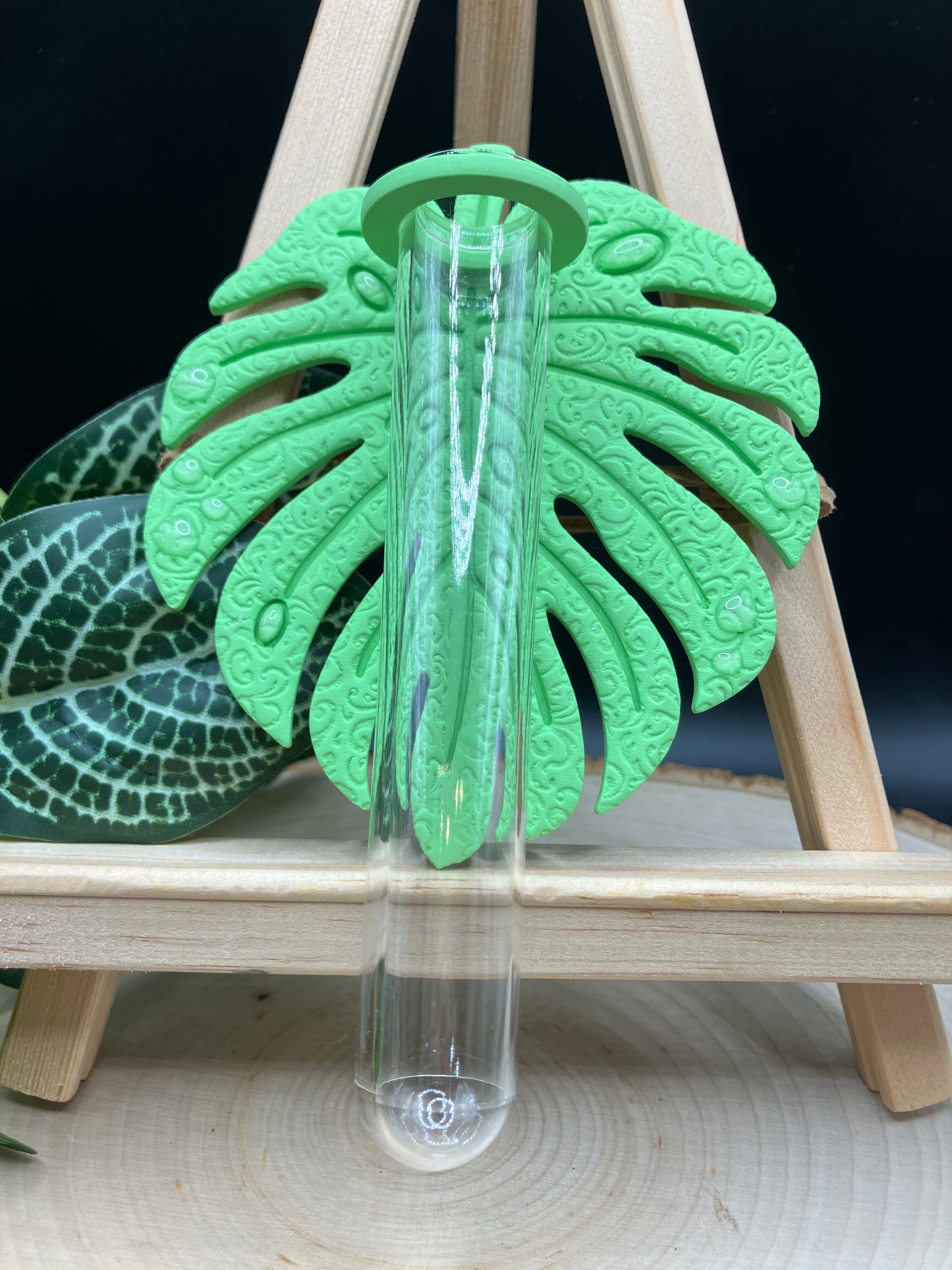 Lemon-Lime Textured Monstera Leaf Propagation Station