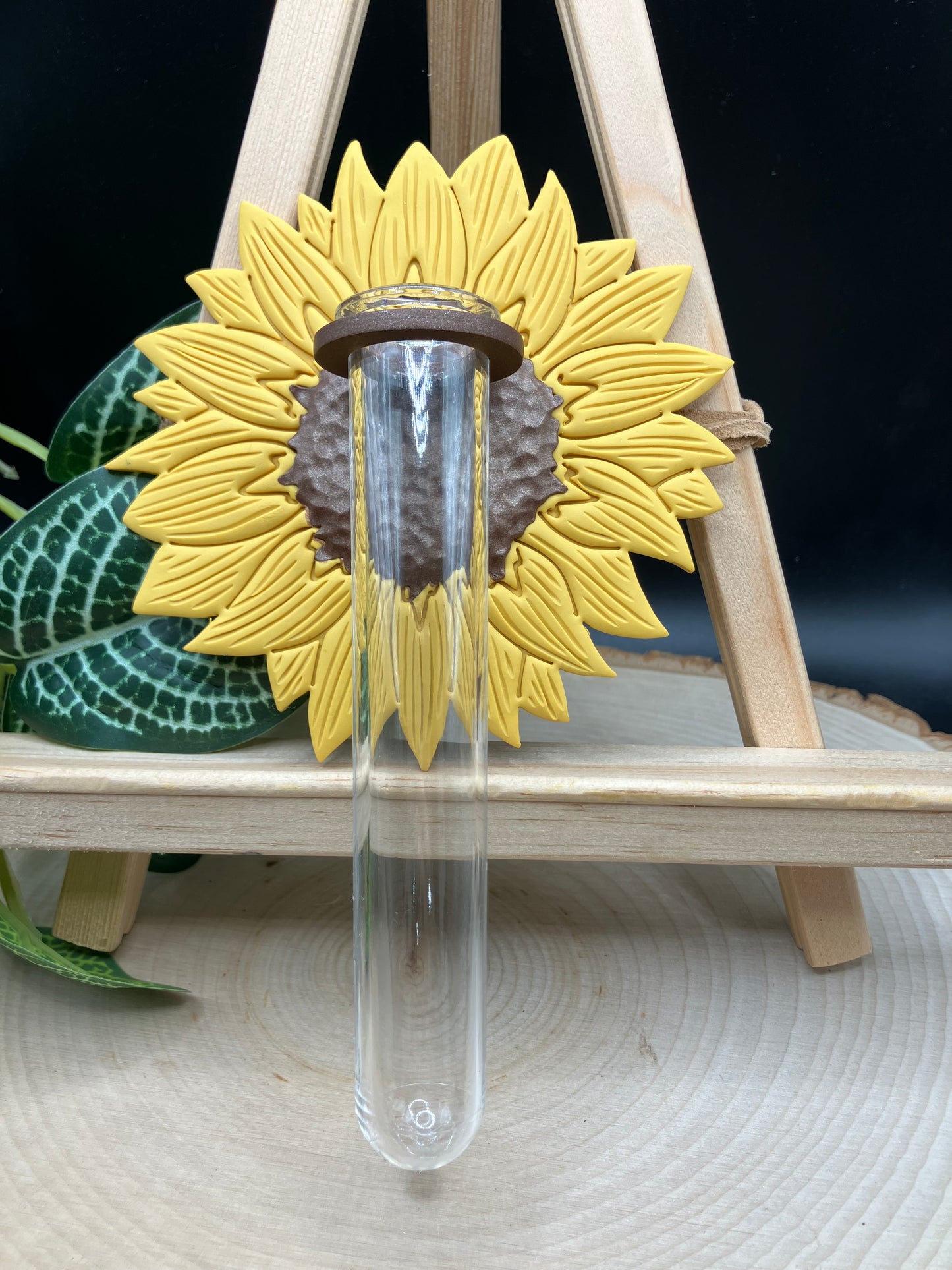Sunflower Propagation Station