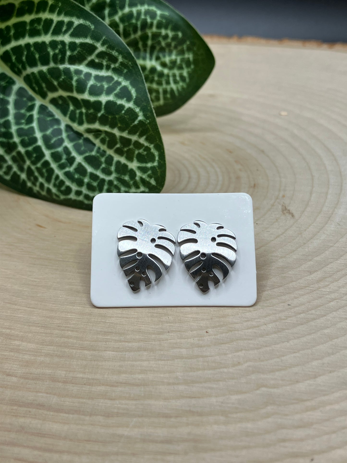 Large Curved Monstera Leaf Stud - Silver Tone