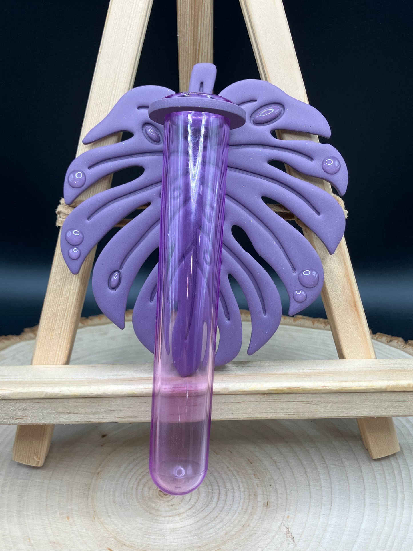 Purple Monstera Leaf Propagation Station