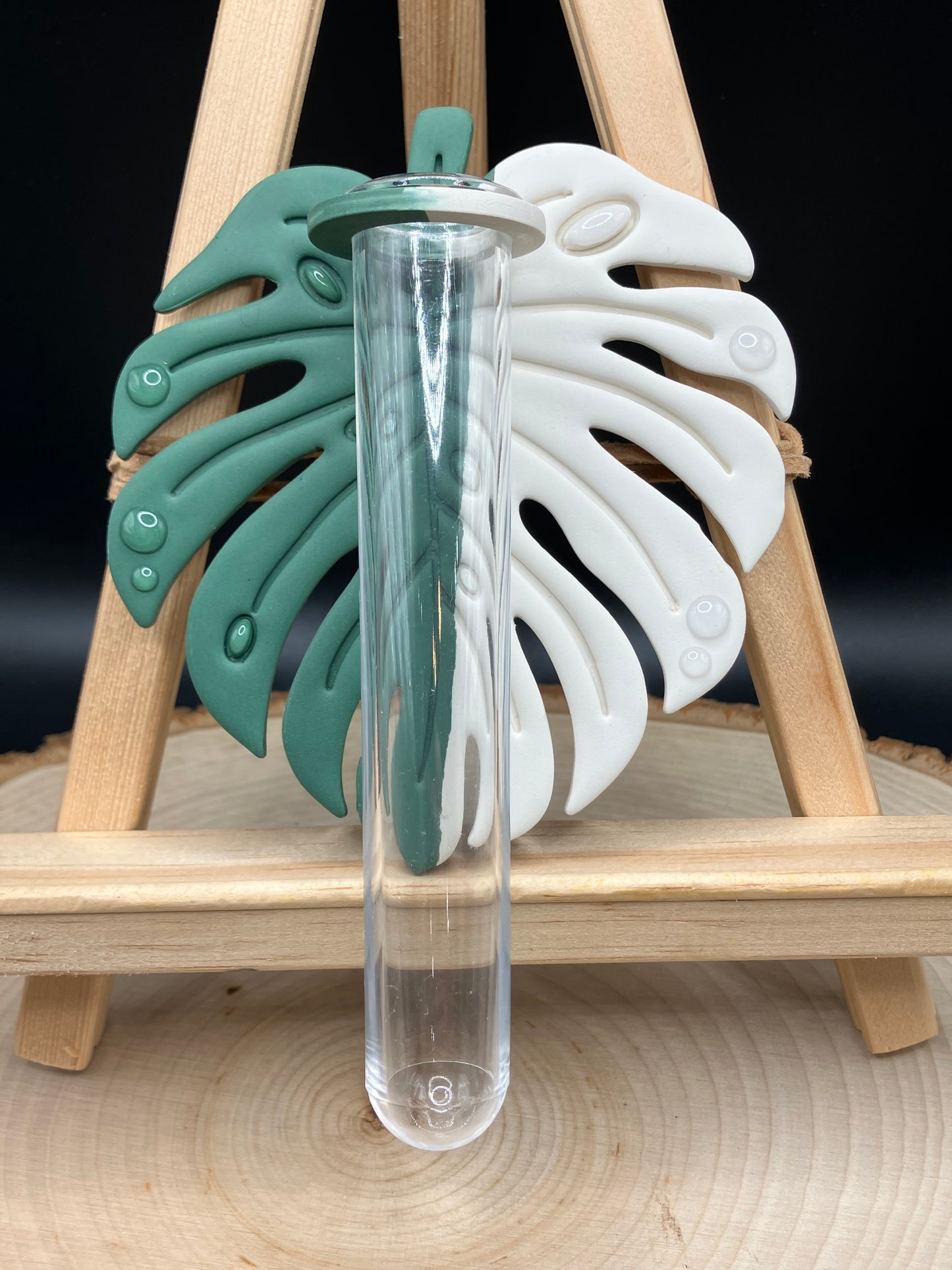 Right-side Albo Monstera Leaf Propagation Station