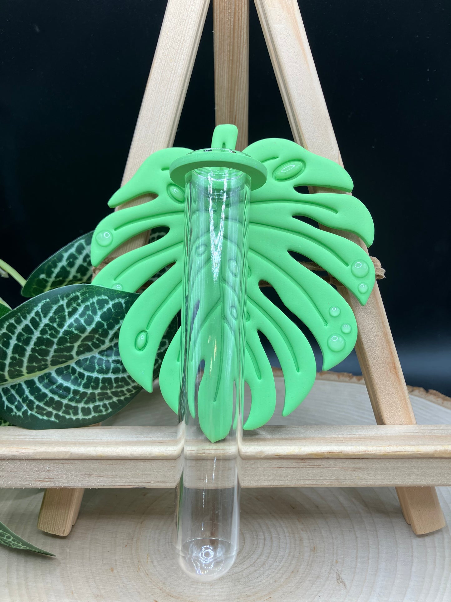 Lemon-Lime Monstera Leaf Propagation Station