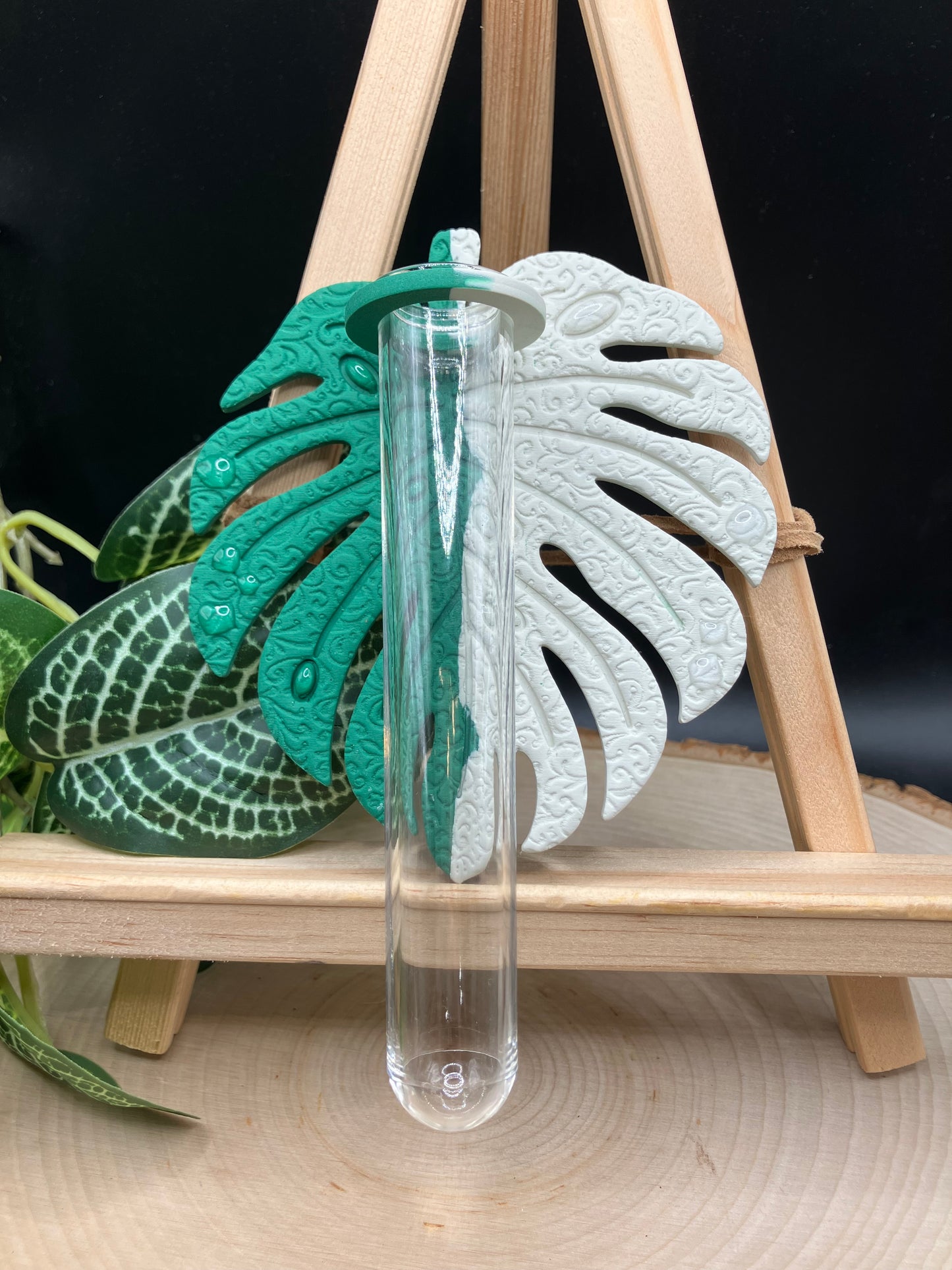 Jungle Green Albo Textured Monstera Leaf Propagation Station