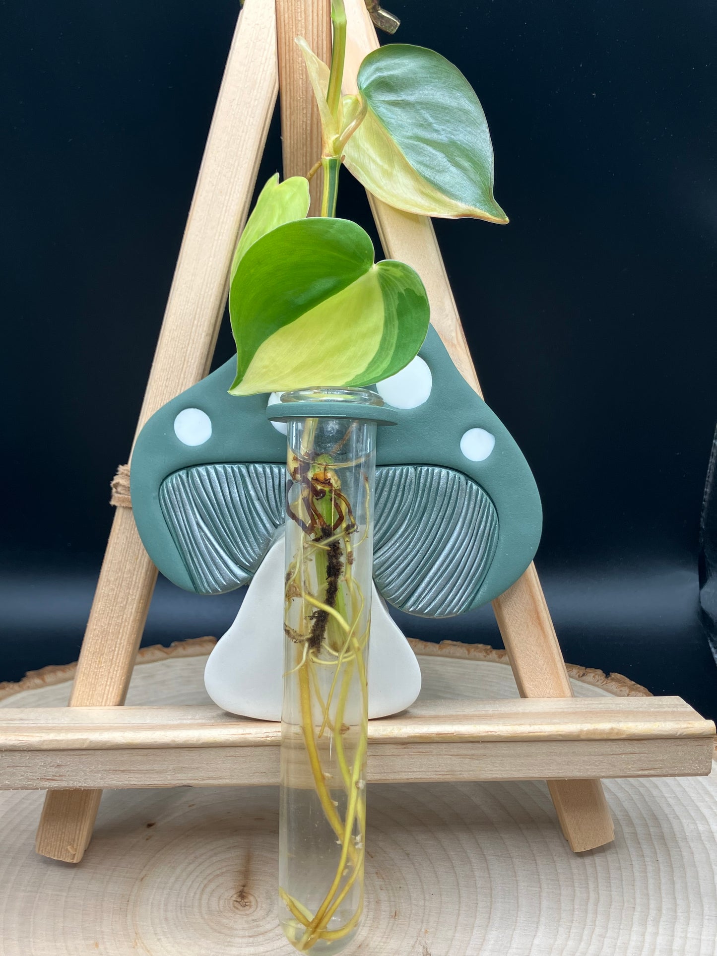 Green Mushroom Propagation Station