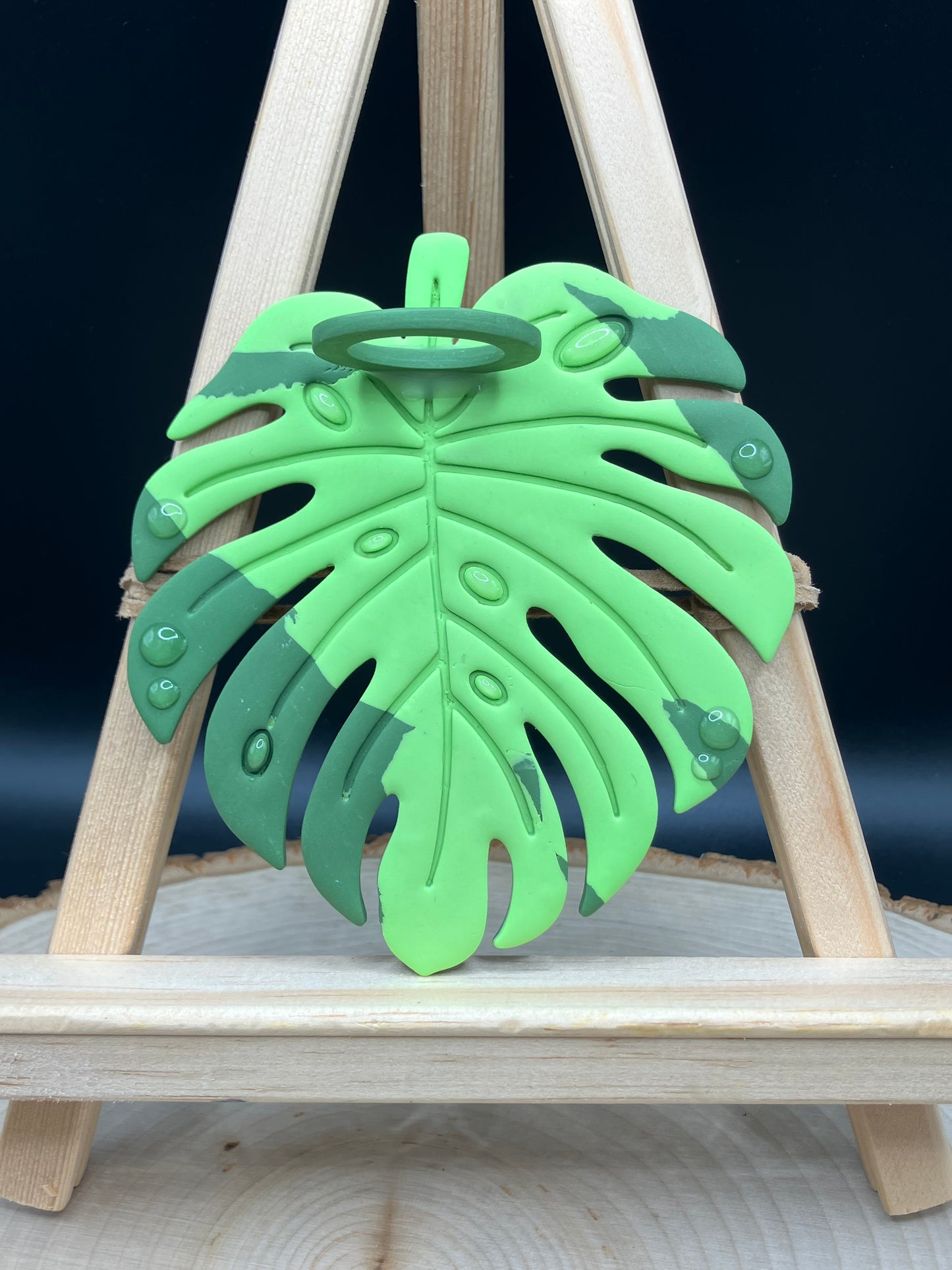 Neon Variegated #1 Monstera Leaf Propagation Station
