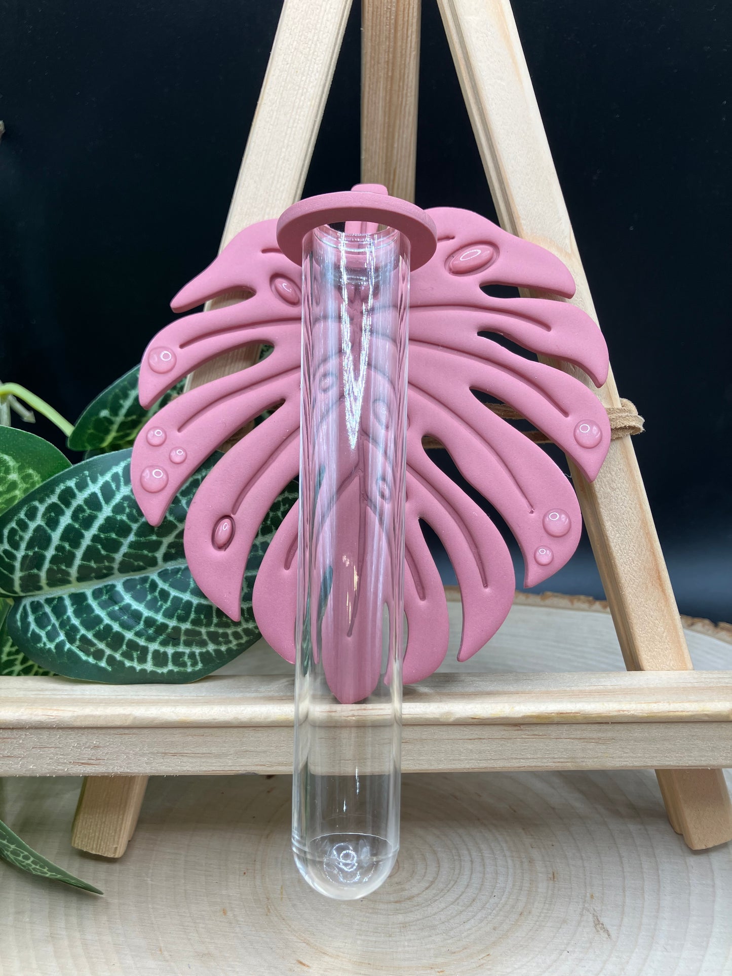Pink Monstera Leaf Propagation Station