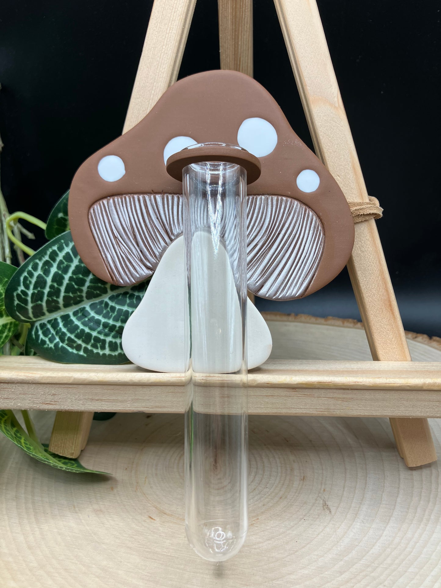 Brown Mushroom Propagation Station
