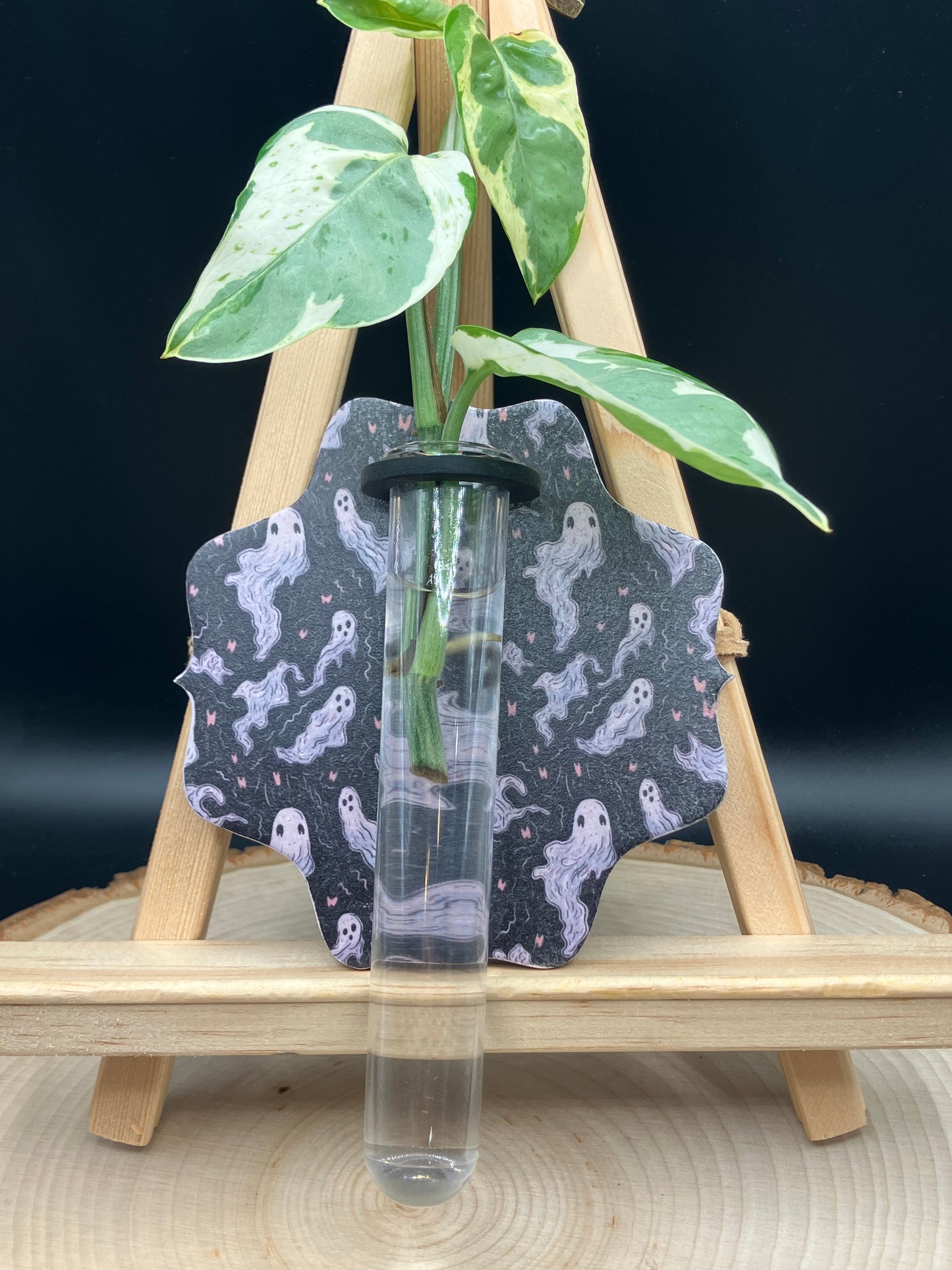 Ghost Scalloped Propagation Station