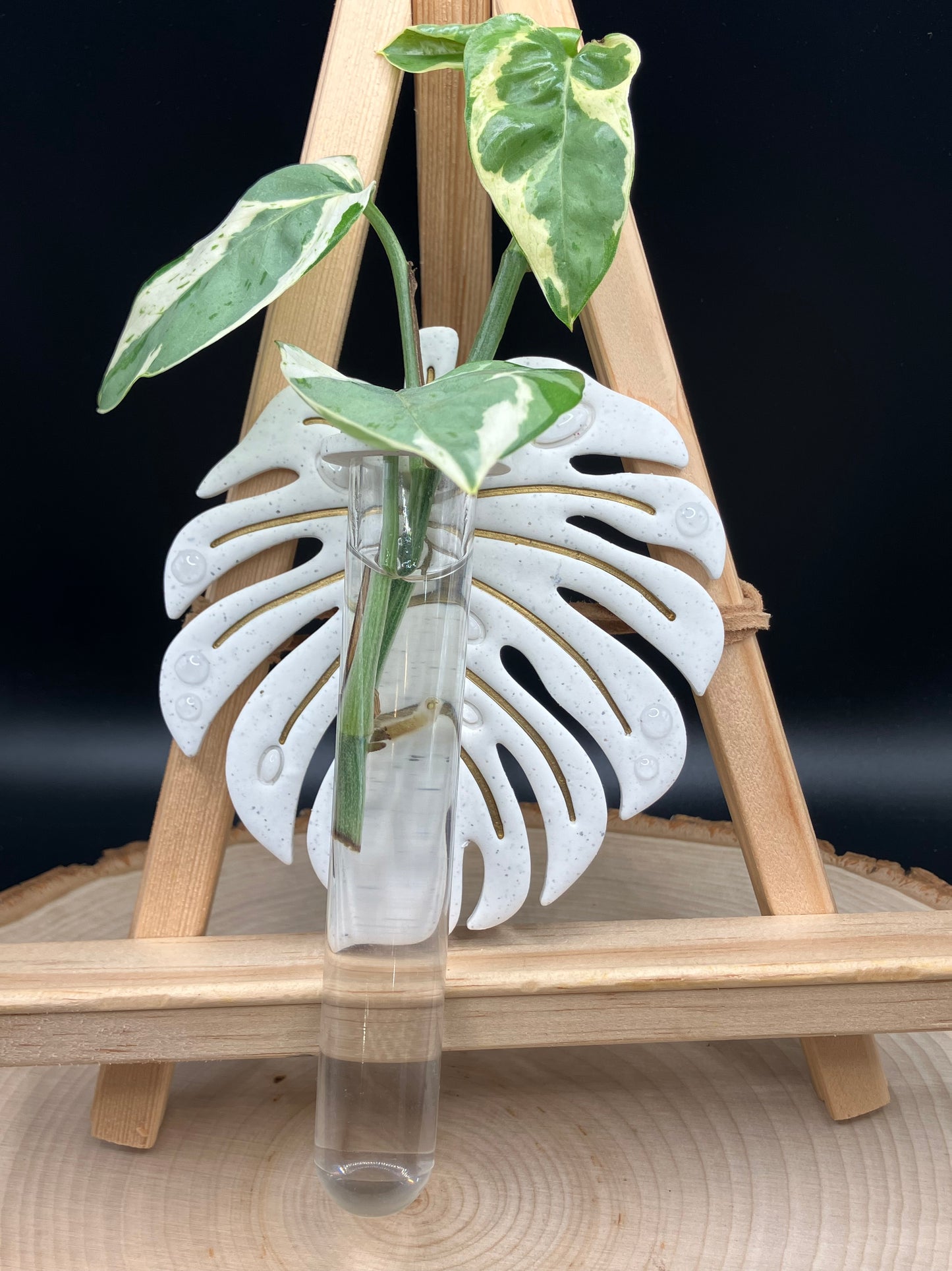 White w/Gold Inlay Monstera Leaf Propagation Station