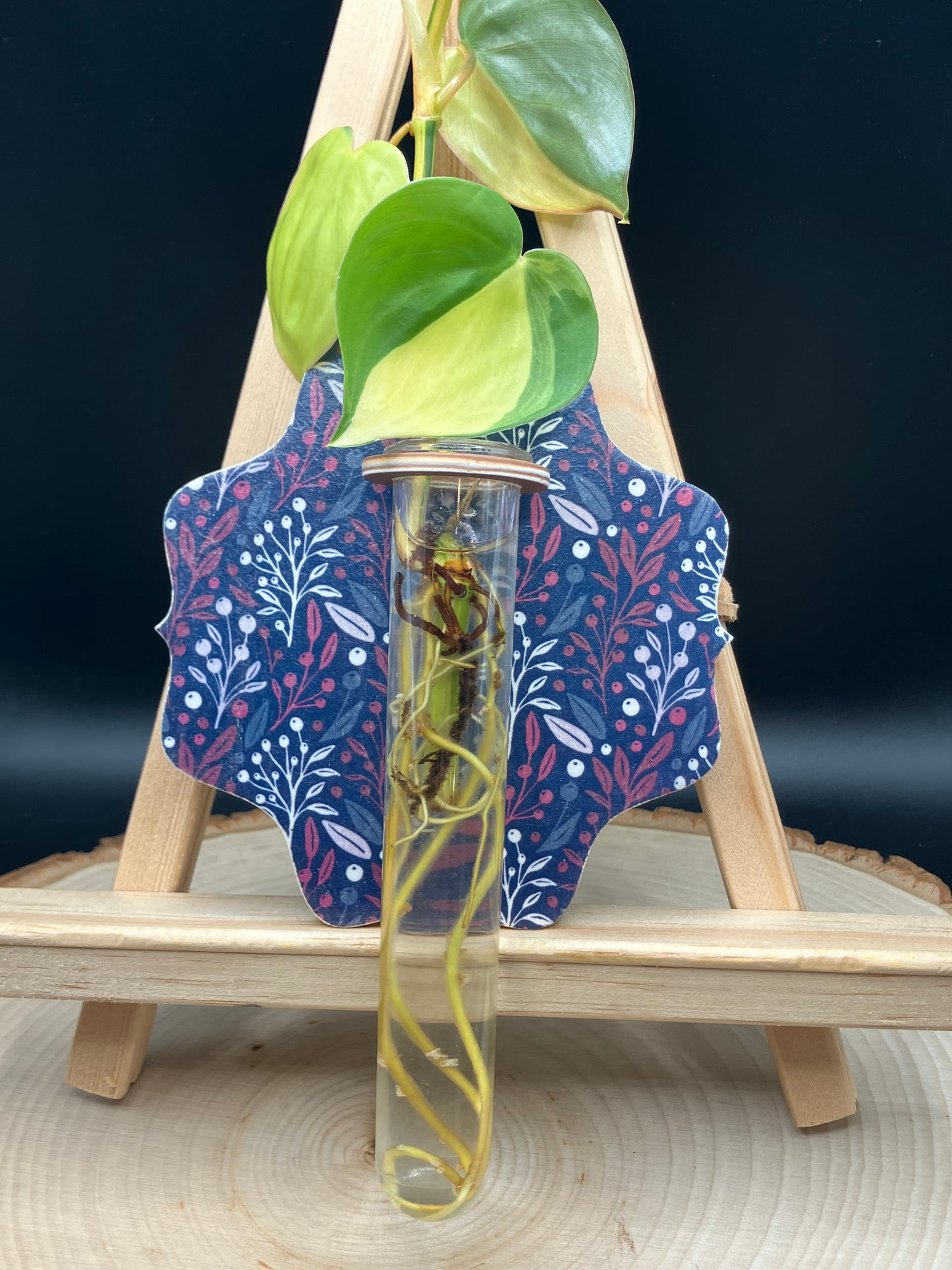 Navy Floral Scalloped Propagation Station