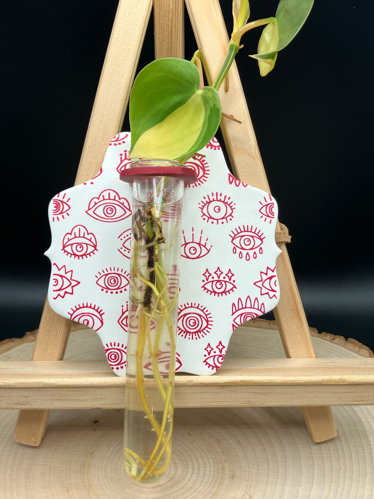 Red Hamsa Scalloped Propagation Station