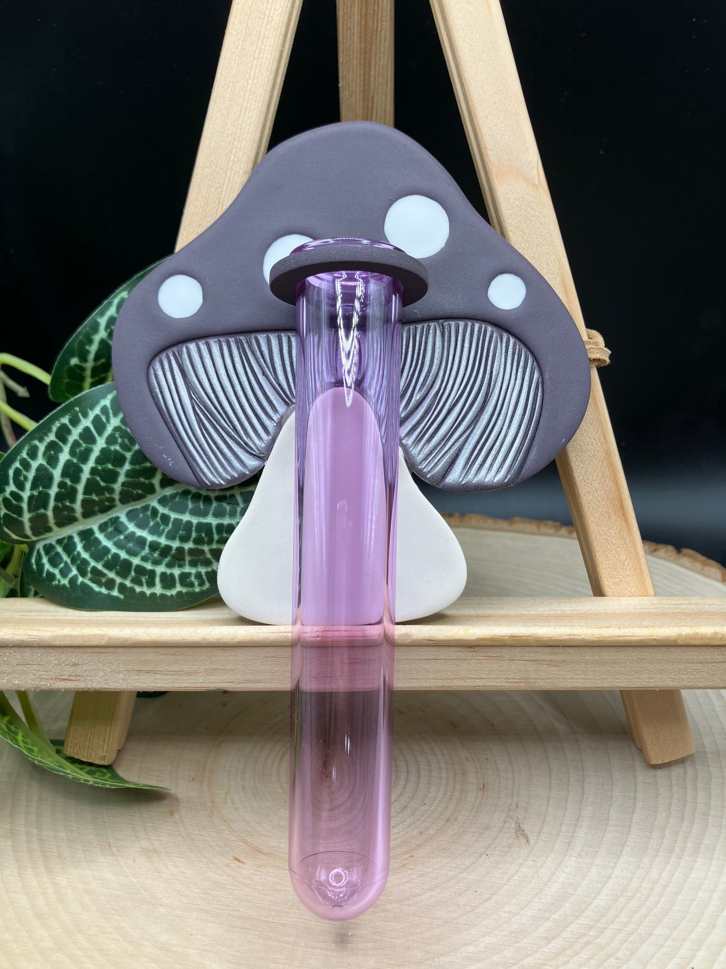 Dark Plum Mushroom Propagation Station