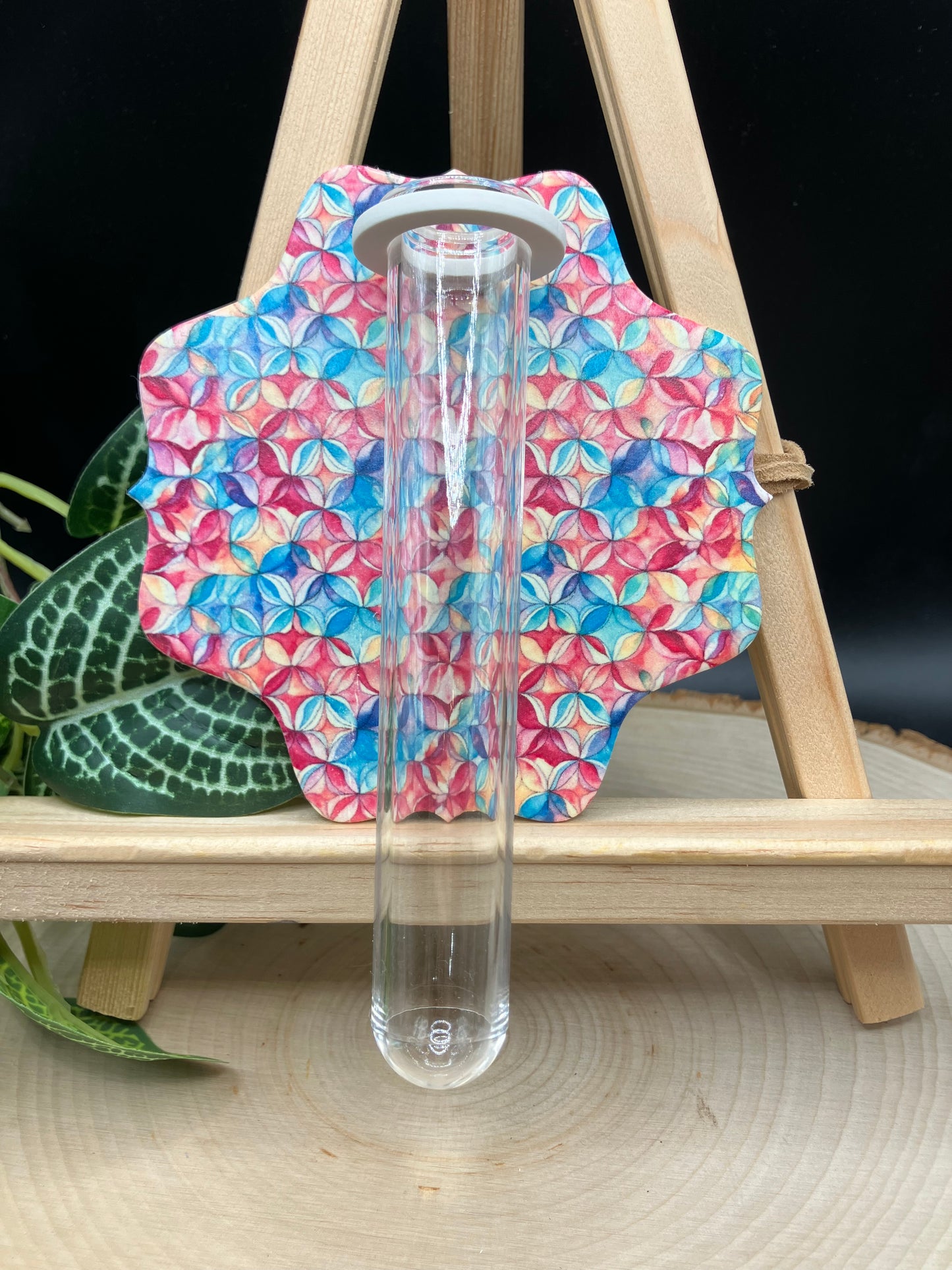 Rainbow Pinwheel Scalloped Propagation Station