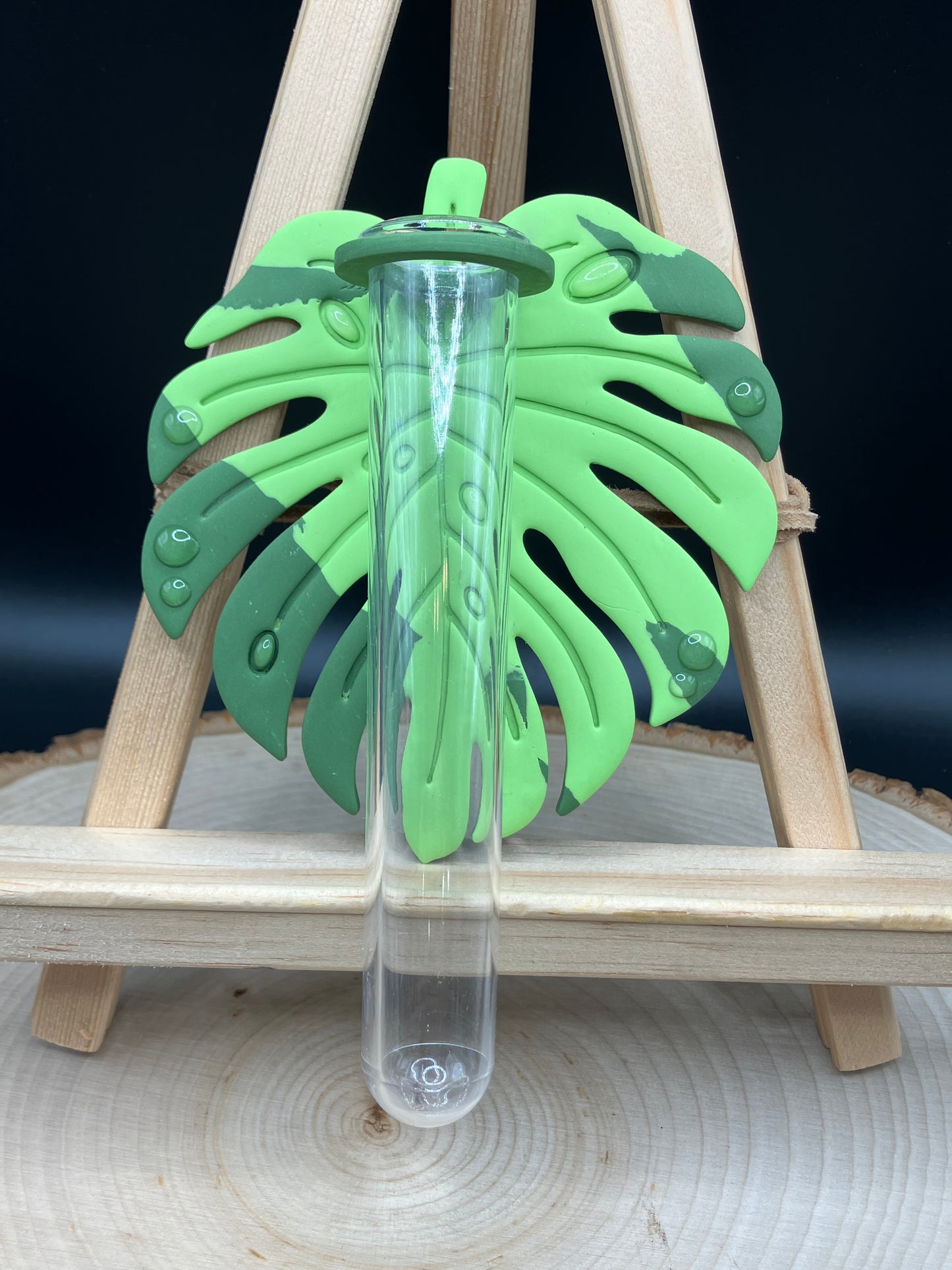 Neon Variegated #1 Monstera Leaf Propagation Station