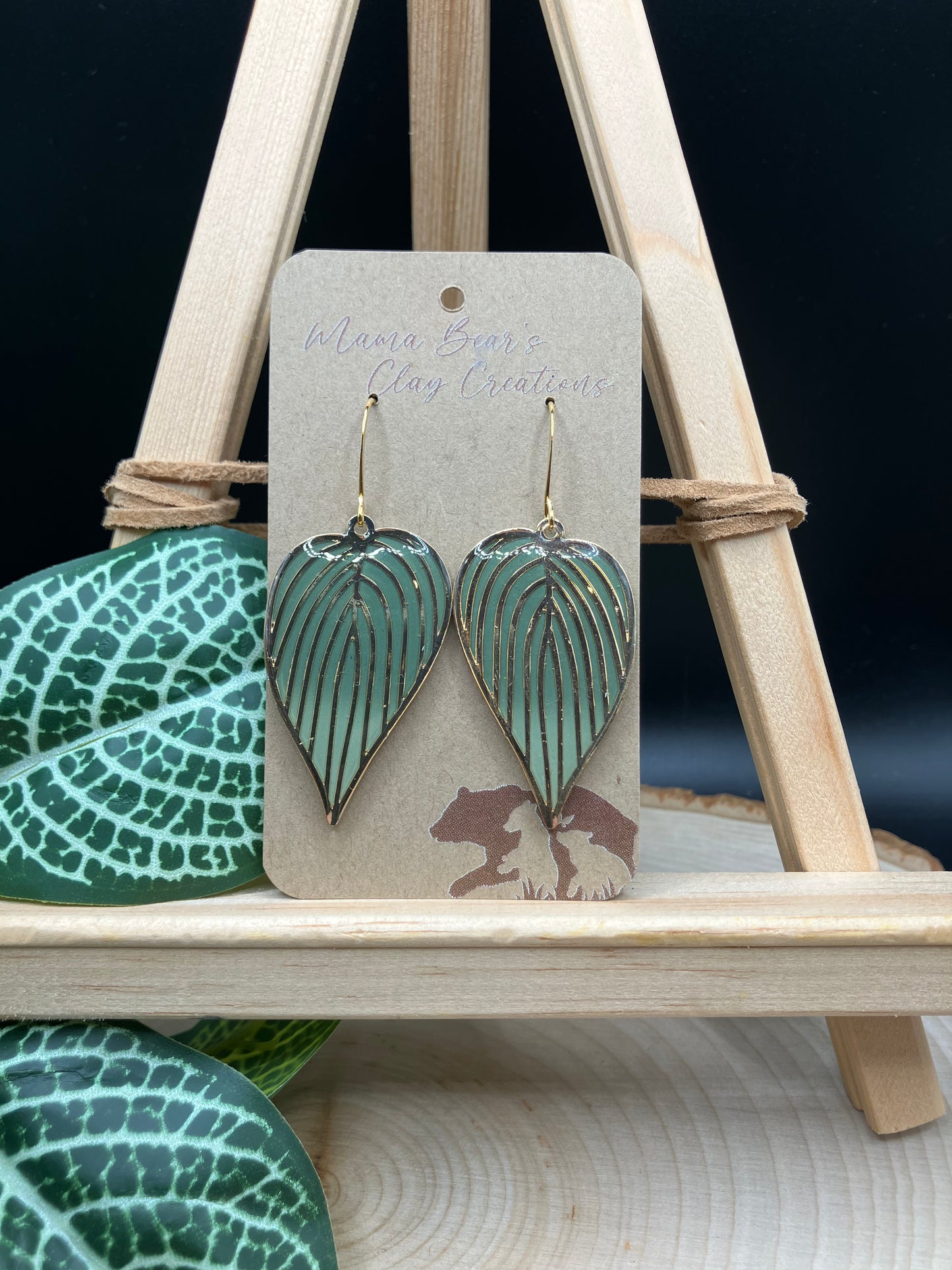 Philodendron Ombre Dangle