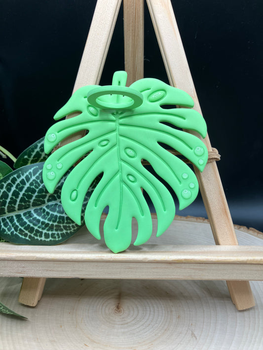 Lemon-Lime Monstera Leaf Propagation Station