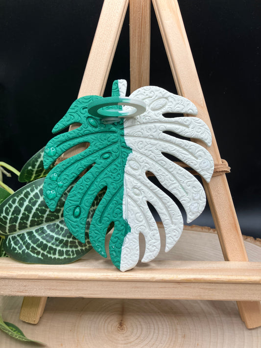 Jungle Green Albo Textured Monstera Leaf Propagation Station