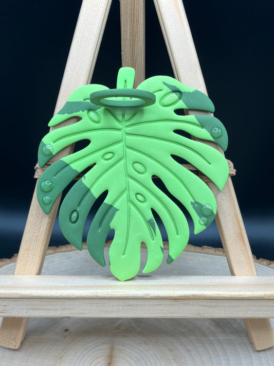 Neon Variegated #1 Monstera Leaf Propagation Station