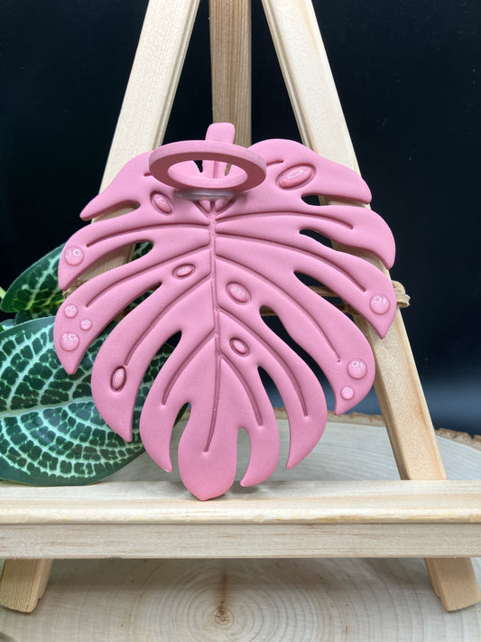 Pink Monstera Leaf Propagation Station