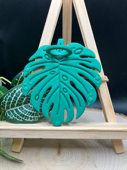 Jungle Green Monstera Leaf Propagation Station