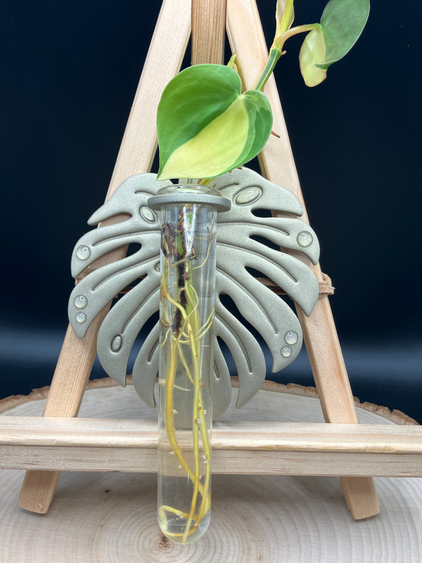 Metallic Champagne Monstera Leaf Propagation Station