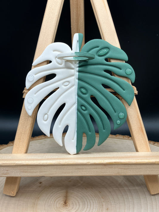 Left-side Albo Monstera Leaf Propagation Station